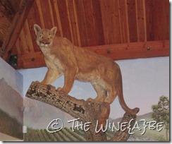 mountain_lion (400x333) mountain_lion (400x333)