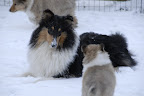 _DSC0063.JPG