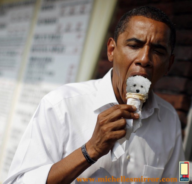 [bo-dogcone%2520copy%255B4%255D.jpg]