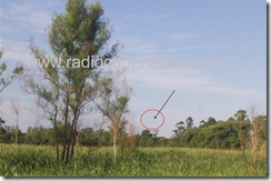 kdk_2607 detalle 03
