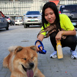 Pet Express Doggie Run 2012 Philippines. Jpg (263).JPG