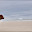 DSC_0276.jpg