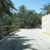 Tunesien-04-2012-190.JPG