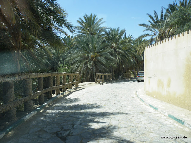 Tunesien-04-2012-190.JPG