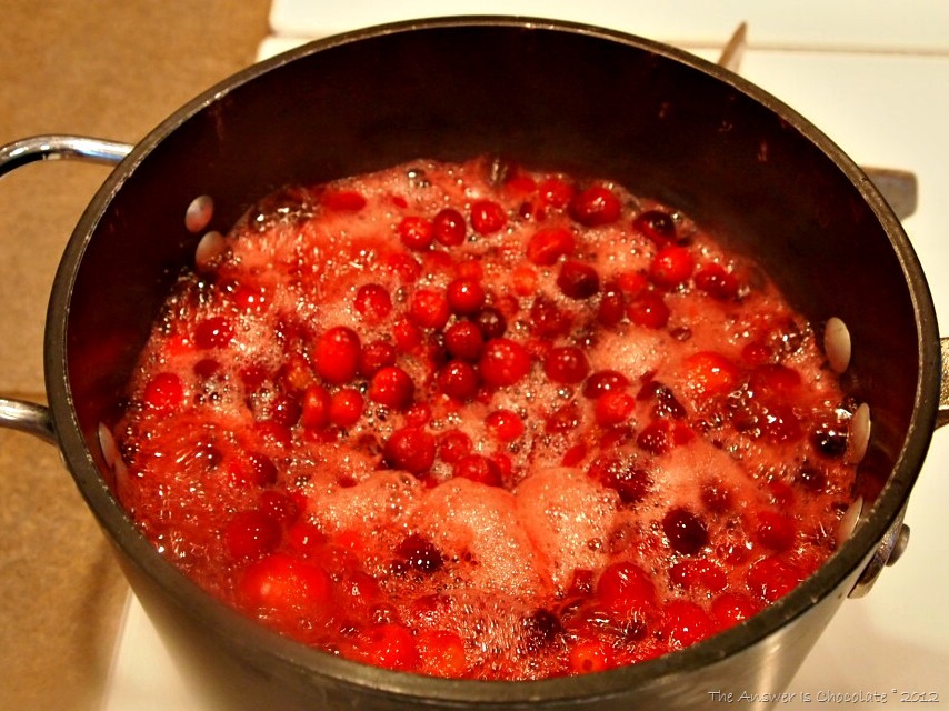 [Cranberries%2520foamy%255B4%255D.jpg]