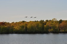 DSC_0320.JPG