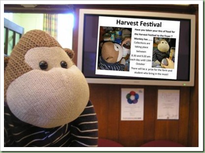 Harvest festival 2011