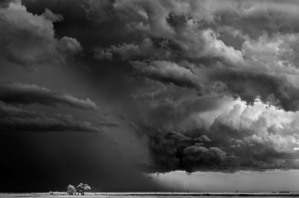 [Mitch-Dobrowner_Trees-Cloudspicture15%255B3%255D.jpg]