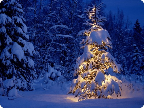 Winter-wallpapers-winter-2768524-1024-768 Winter-wallpapers-winter-2768524-1024-768