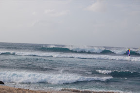 DSC_0882.JPG