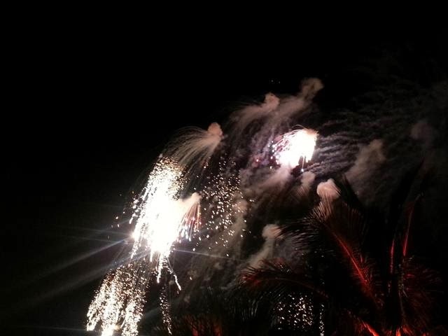 [20140220_fireworks2Small2.jpg]