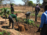 South Africa - 207.JPG