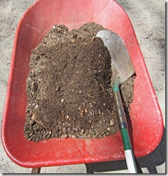 Harvesting my own compost