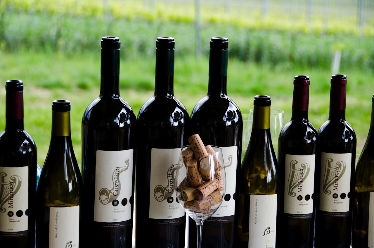 Wines at Terre Margaritelli