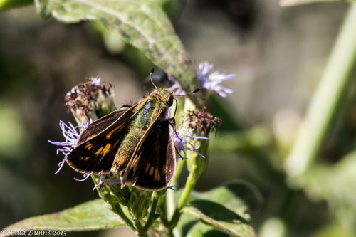 [130119_E-24%255B6%255D.jpg]