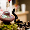 20111125-066.jpg