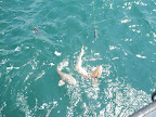Image8.jpg