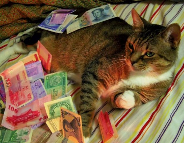 [rich-wealthy-cats-24%255B2%255D.jpg]