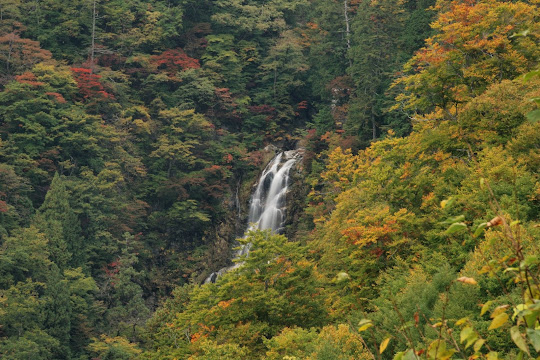 高滝