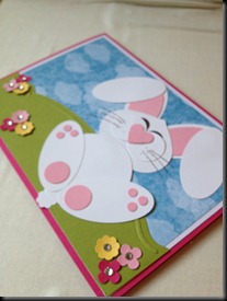 IMG_2562 IMG_2562