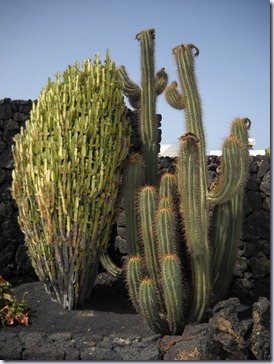 Lanzarote mare 567 Lanzarote mare 567