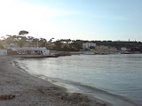 DSC00488.JPG