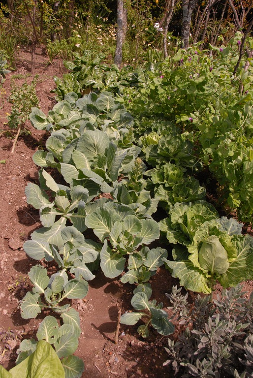 [DSC_0078%255B8%255D.jpg]