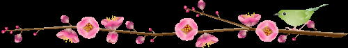 Image Dimension: 500x69 :: Photos: Trust me its Real Photos: Trust me its Real