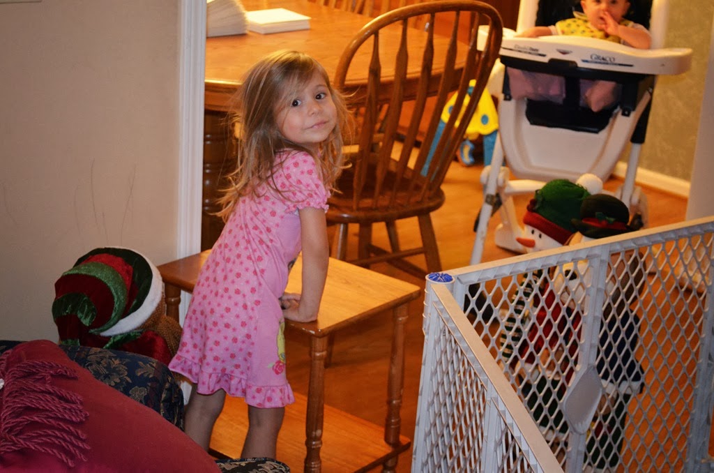 [DSC_5872%255B6%255D.jpg]