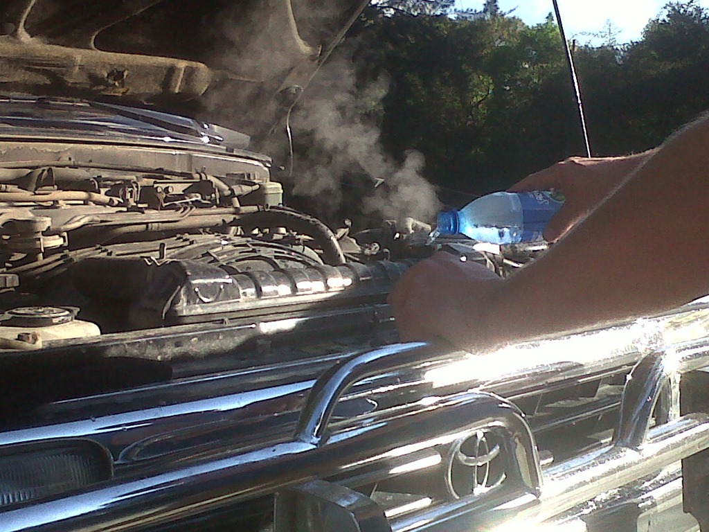 [IMG00309-20120111-1548%255B2%255D.jpg]