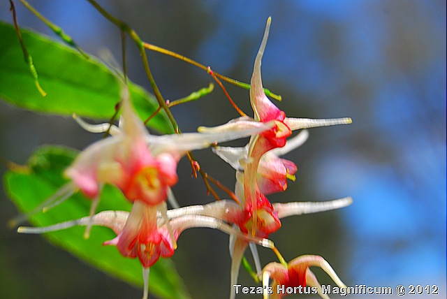 [DSC_0036%255B8%255D.jpg]