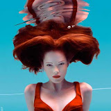 Underwater - Howard Schatz