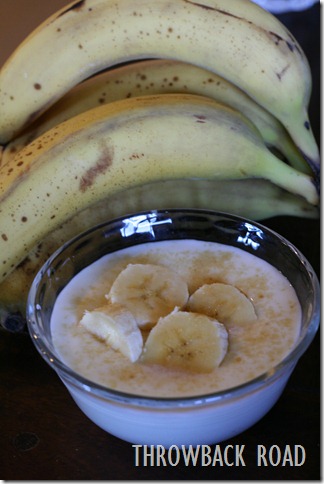 yogurt self port 019 yogurt self port 019