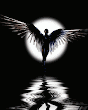 Little Angel Look