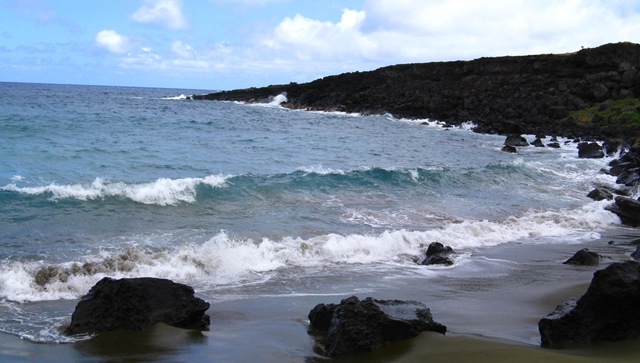 [IMG_8277CROPPED%255B2%255D.jpg]