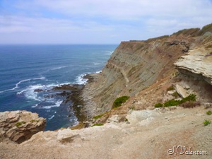 [P1170006%255B6%255D.jpg]