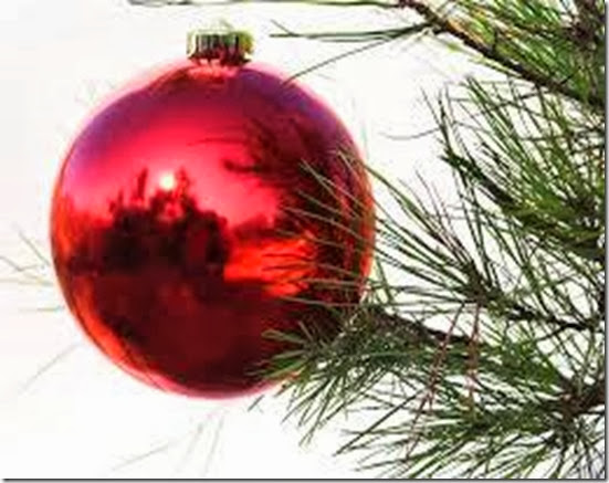 natal natal