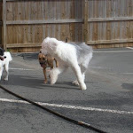 DSCN4561.jpg