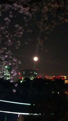 [IMAG1260%255B4%255D.jpg]