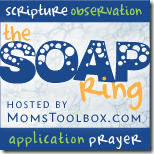 SOAP_RING_redo SOAP_RING_redo