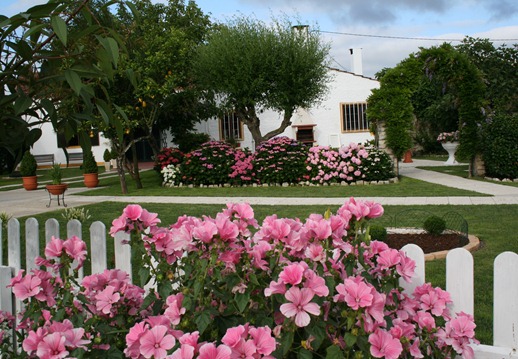 portugal - primavera no nosso quintal - Glória Ishizaka