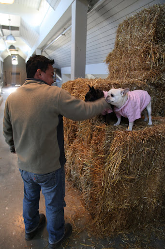 Hi, Gyurme.  You and guys sure stack hay fast!13