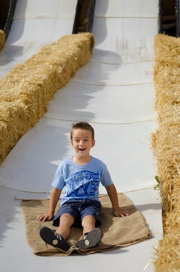 [pumpkinpatchMatt-4%255B7%255D.jpg]