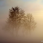 20091204 Allgaeu 1099 [640x480].JPG