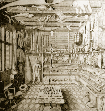 [image4.png]