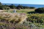 Un roof garden sobre la playa con plantas nativas. Gentileza: Amalia Robredo.