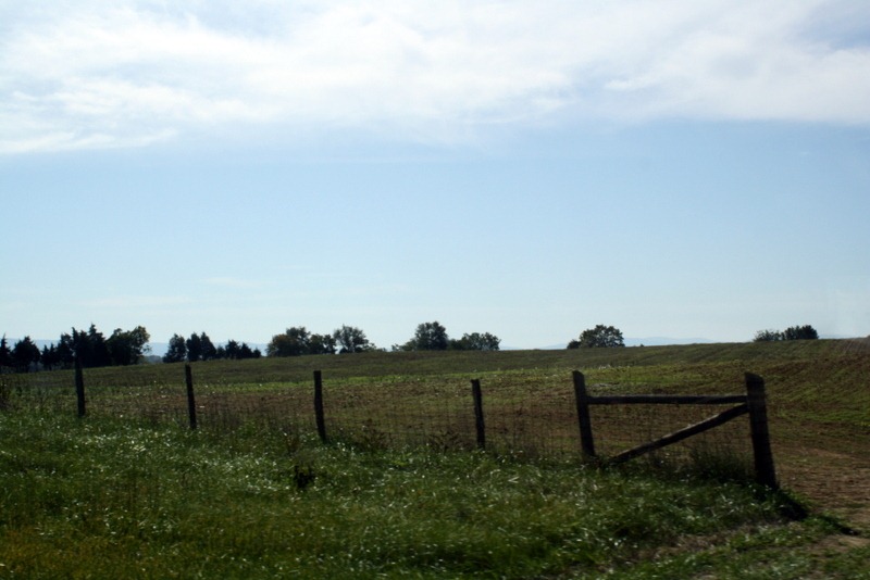[Virginia%2520Trip-%2520October%25202011%2520239.jpg]