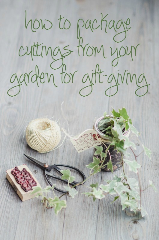Garden Cutting Gift | Mason jar, twine, shipping tag | personallyandrea.com