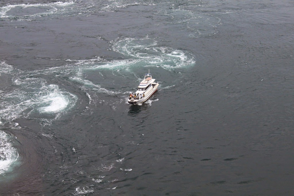 [2014_Day2_795.jpg]