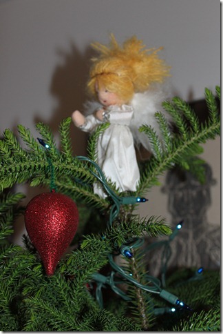 IMG_2259 IMG_2259